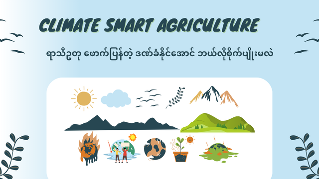 How can we practice Climate-Smart Agriculture
